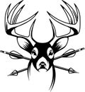 Whitetail deer buck with crossing hunting arrows Royalty Free Stock Photo