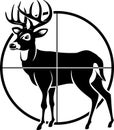 Whitetail deer in the sight of a gun Royalty Free Stock Photo