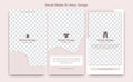 Editable social media instagram story template design frame background in Cute soft feminine fashion clothing