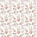 Summer flower with purple and red color seamless pattern Royalty Free Stock Photo