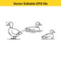 Editable vector ducks line art illustration set Royalty Free Stock Photo