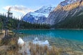 Edith Cavell Lake Royalty Free Stock Photo