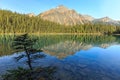 Edith Cavell Lake Royalty Free Stock Photo