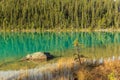 Edith Cavell Lake Royalty Free Stock Photo