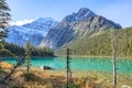 Edith Cavell Lake Royalty Free Stock Photo