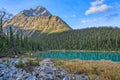 Edith Cavell Lake Royalty Free Stock Photo