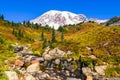 Edith Creek flows in front of the volcanic peak of Mount Rainier