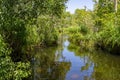 Edith Falls in Leliyn Area Royalty Free Stock Photo