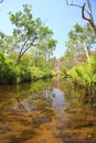 Edith falls, Nitmiluk National Park, Northern Territory, Australia Royalty Free Stock Photo