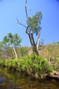 Edith falls, Nitmiluk National Park, Northern Territory, Australia Royalty Free Stock Photo