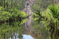 Edith falls, Nitmiluk National Park, Northern Territory, Australia Royalty Free Stock Photo