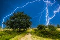 Editing of the natural landscape BalloÃÂ«rveld with very heavy thunderstorms and violent lightning