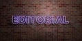 EDITORIAL - fluorescent Neon tube Sign on brickwork - Front view - 3D rendered royalty free stock picture