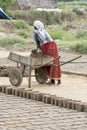 Editorial illustrative image. Poor worker woman in India