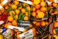 EDITORIAL oranges and clementines at FICO Eataly World