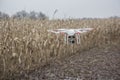 Editorial photo of a DJI Phantom drone in flight with a mounted GoPro Hero3 Black Edition