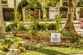 EDITORIAL public garden of Cervia in Italy