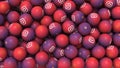 Editorial shot: filled screen 3D rendering purple balls with white icon Instagram. Round spheres with logo of the social