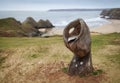 Shell Sculpture at Three Cliffs Bay