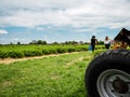 Editorial: 30th May 2019, Nordhouse, France. Independent gathering strawberry in the field. France. Alsace. People come to the