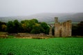 Edlingham Castle