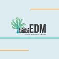 Edm music festival illustration for graphic resources