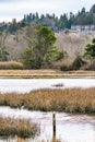 Edmonds Marsh Landscape Scene 8 Royalty Free Stock Photo