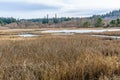 Edmonds Marsh Landscape Scene 10 Royalty Free Stock Photo
