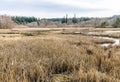 Edmonds Marsh In Winter 13 Royalty Free Stock Photo