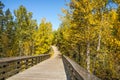 Edmonto city park wooden footbridge