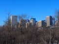 Edmonton Alberta Cityscape Or Skyline With Bare Trees