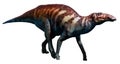 Edmontosaurus Royalty Free Stock Photo