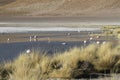 Eduardo Alveroa, Uyuni Bolivia