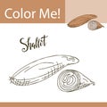 Education coloring page with vegetable. Hand drawn vector illustration of shallot.