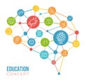 Education Concept - Human Brain