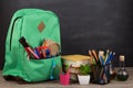 Education concept - school backpack with books and other supplies, blackboard background Royalty Free Stock Photo