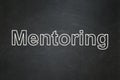 Education concept: Mentoring on chalkboard background Royalty Free Stock Photo