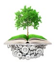 Education concept. Tree of knowledge grows from