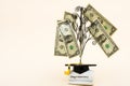 Education Costs Royalty Free Stock Photo