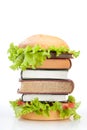 Education fast food Royalty Free Stock Photo