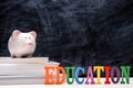 Education financial saving. Pink Piggy bank on top of books with Royalty Free Stock Photo