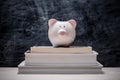 Education financial saving. Pink Piggy bank on top of books with Royalty Free Stock Photo