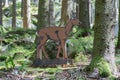 Education in the forest - wooden deer waiting to be spotted by c