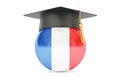 Education in France, concept, 3D rendering