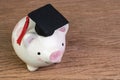 Education fund, Scholarships, university cost and expense or saving for student loan concept, happy smiling pink piggy bank Royalty Free Stock Photo