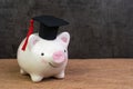 Education fund, Scholarships, university cost and expense or saving for student loan concept, smiling pink piggy bank wearing Royalty Free Stock Photo