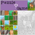 Education game: Puzzle. Cute beautiful urial with great horns