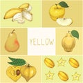 Education Game. Yellow Fruits