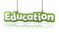 Education green word text on white background