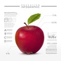 Education infographic with close up look at realistic apple